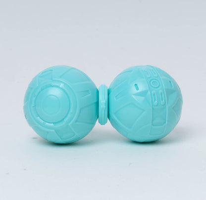 CyberWalnut