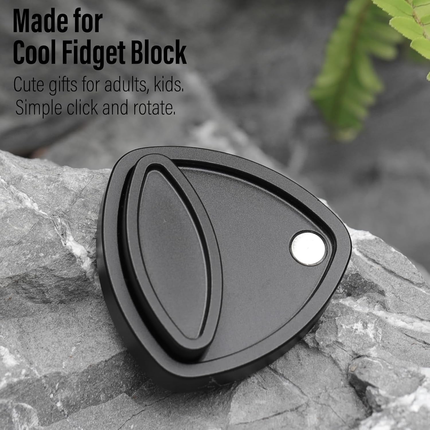 Pivot Magnetic Slider